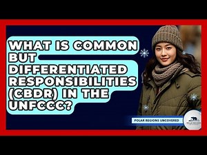 What Is Common But Differentiated Responsibilities (CBDR) In The UNFCCC? - Polar Regions Uncovered