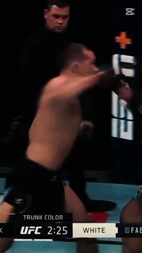 💥 Petr Yan KO Highlights | UFC MMA Knockout Moments 2025 | Smash World Wrestling #ufc #petryan #mma