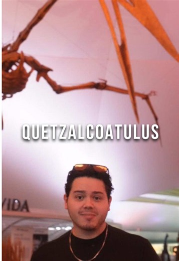 DÍA 3 DE 5 DÁNDOTE DATOS DE ANIMALES PREHISTÓRICOS 🪽🦴 Quetzalcoatlus vivió hace unos 68 a 66 millones de años en lo que actualmente es Norteamérica. Fue uno de los animales voladores más grandes conocidos: las especies gigantes alcanzaban cerca de 10 metros de envergadura y, de pie, podían superar los 5 metros de altura. Era un PTEROSAURIO, no un dinosaurio, y probablemente cazaba pequeños vertebrados mientras caminaba por tierra. Collab con: @Gulliver_99_CP #AprendeEnTiktok #prehistoria #gabo
