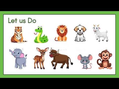 What’s in a Name? | Mathematics for Class 3 (Maths Mela) | NCERT 2025