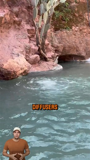 5K views · 50 reactions | DIY Cliffside Pond With Waterfall & Filtration System #DIYWaterfall #BackyardPond #Aquascaping #FiltrationSystem #PondLife | Tips of the Day | Facebook