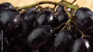 Fresh bunches of grapes of black sort rotate as a background. Grape close up, concept winemaking, wine production, vine variety
