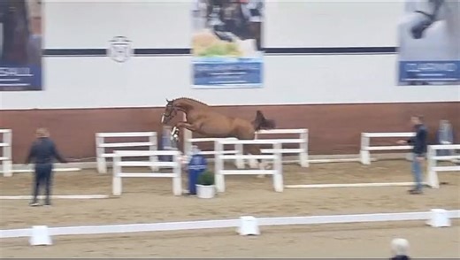 38 reactions · 7 comments | Urthago II (v. Uriko/ My Lord Carthago/...