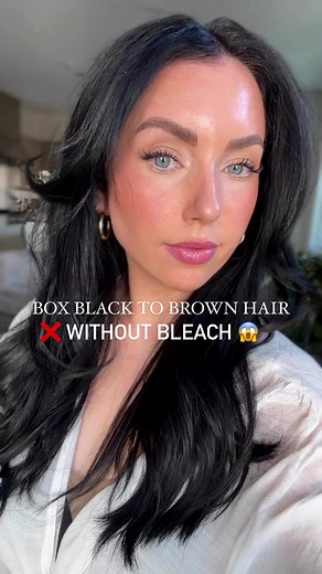 Box Black Hair to Brunette Transformation