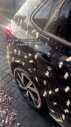 Découverte des voitures à scotch et carrosserie