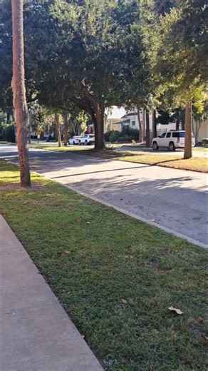 There are many historic houses in downtown Brunswick, Georgia. We visited Union Street and Albany Street. There are a lot of houses from the late 1800s and early 1900s in Brunswick's historic district downtown. | Otis Putnam