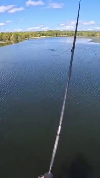 Absolute carnage at the dam this morning!