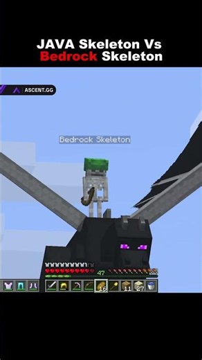 JAVA Skeleton Vs Bedrock Skeleton #ascent