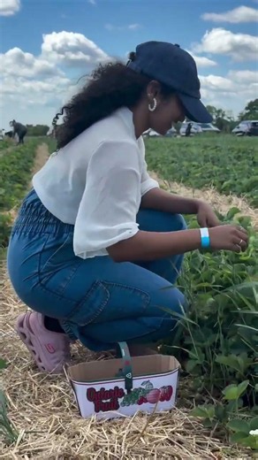 Strawberry Picking - Canada🔥 | Shorts | Cynthia Vinolin Davis Sundarraj