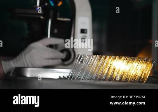 Glass microscope slides illuminated in laboratory with scientist using microscope in background representing medical research diagnostics and scientific analysis Stock Video Footage - Alamy