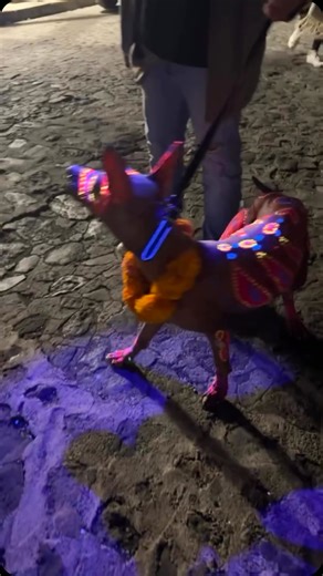 Artesano Inc on Instagram: "The Xoloitzcuintli, or “Xolos,” is more than just a dog — it’s a symbol of Mexican culture, history, and spirituality 🐾💀. With roots tracing back to the Aztecs and Maya, these ancient pups were believed to guide souls through the underworld. Today, the Xolo is not just a national treasure but also the proud mascot of Club Tijuana ⚽️ #cincodemayo #cincodemayoparty #Xoloitzcuintli #MexicanHeritage #Xolos #CulturaMexicana #AncientTradition #xolo #xoloitzcuintle #dayoft