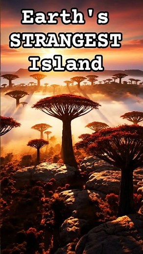 Socotra: The Alien Island On Earth 🌍 | Dragon Blood Trees & Hidden Wonders #shorts #video