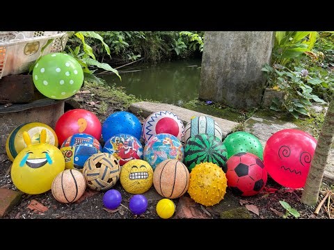 HUNTING BALON LUCU 🎈DAN BOLA BOLA 🏐🏀⚽️ 564