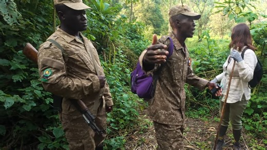Standing feet away from wild gorillas