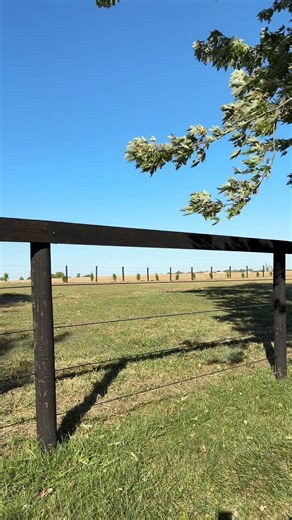 Safety is a priority! #safehorsefence #diyhorsefence #horses #equestrian #fencesforhorses