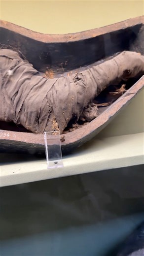 📸 The Mystery of the Black BoxesInside the tomb of Yuya and Tuya, archaeologists uncovered several strange black boxes — sealed containers holding mummified objects that remain unexplained to this day.Are these sacred offerings? Ritual food for eternity? Or something far more mysterious?Wrapped carefully like miniature mummies, the contents spark endless debate among historians and visitors alike. Standing before them, you can’t help but wonder: what secrets did the ancient Egyptians hide in th