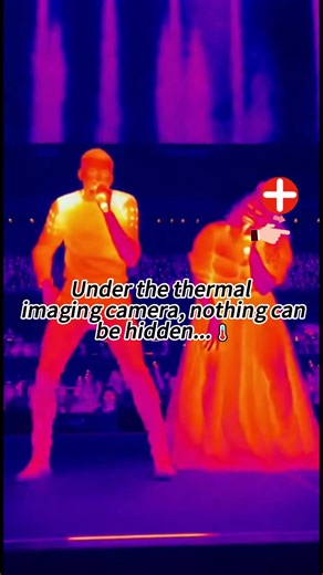 Exploring Thermal Imaging Cameras for Fun