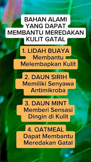 🌿 Kulit Gatal? Coba Kenali 4 Bahan Alami yang Dapat Membantu Meredakannya!