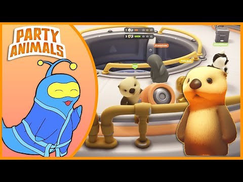 How To OTTER - Party Animals First Impressions