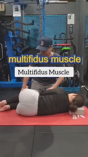 Syed Irfan Haider Kazmi on Instagram: "The multifidus can be stretched with slight flexion and ipsilateral rotation. The literature suggests that flexion alone is sufficient. However, this does not allow for differentiation from the erector spinae. Therefore, rotation has been added. The more options there are, the more versatile the technique will be. [References] Japan Physical Therapy Academic Conference Effective stretching of the erector spinae and multifidus muscles #bpt #gpt #dpt #pt #mus
