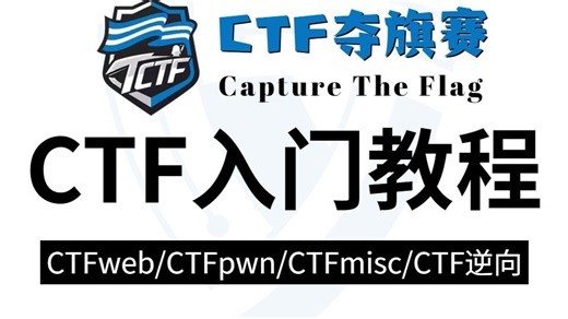 【B站最系统的CTF逆向入门】整整100道CTF竞赛题，零基础到进阶实战，CTF逆向/CTFweb/CTFpwn/CTFmisc