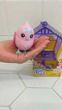 Little Live Pets - Lil' Bird & Bird House