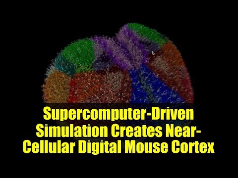 Supercomputer-Driven Simulation Creates Near-Cellular Digital Mouse Cortex