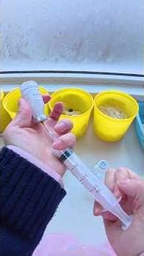 Ventrogluteal IM Injection | Master the Correct Technique 💉