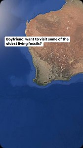 1.5M views · 11K reactions | Did you know the Lake Clifton...