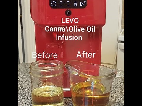 LEVO Demonstration and Review