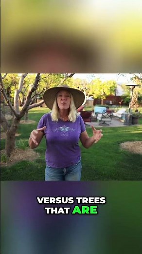 This Tiny-Space Orchard Method Actually Works #gardening #DIY