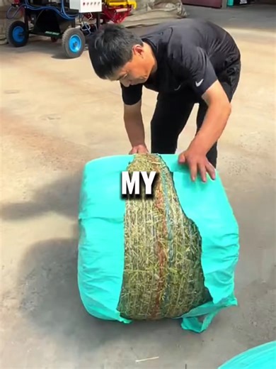 Drama Familial : Réconciliation Amoureuse Cachée