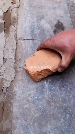 Cómo replantar keikis de orquídea dendrobium 😱