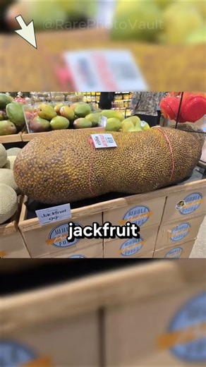 These Rare Photos Were Captured at the Exact Right Second 🤯📸