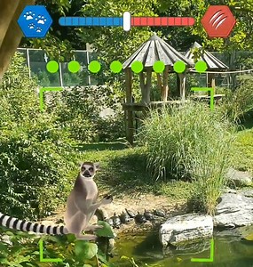5.9K views · 205 reactions | Leaping lemurs! Get your party hats on and get ready for a special virtual visit and visitor to the Zoo's Instagram tomorrow, Aug. 14. Hop over to the Zoo's Instagram Story throughout the day to check it out and celebrate with us! Zoo's Insta: https://www.instagram.com/smithsonianzoo/ #ZooGuardians Zoo Guardians | Smithsonian’s National Zoo and Conservation Biology Institute | Facebook