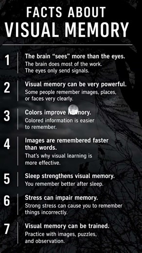 Visual Memory Facts You Should Know 👁️🧠