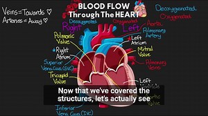 Review a little heart A & P, courtesy of ICU Advantage. In this short and sweet lesson, you'll learn the path blood follows as it travels through the heart. Your heart. Our hearts. All of the hearts. ❤️ Oh, and you'll learn how to toilet paper my asset (TPMA), too. | Nursing and NCLEX Mastery