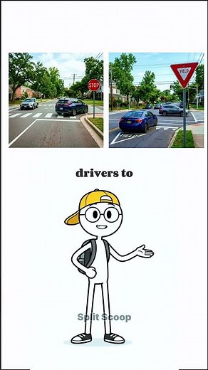 Stop Sign vs Yield Explained