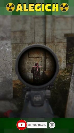 Неплохая пупуха. Прохождение STALKER ANOMALY 1.5.3 GAMMA 0.9.4 на самом сложном.