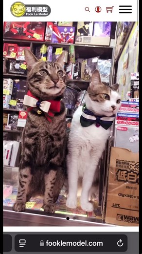 196 reactions · 16 comments |...