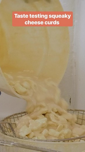 22K views · 198 reactions | If you hear a squeak when you bite into a cheese curd, that's how you it's fresh. #foodinsider #cheesemaking #cheesecurds #wisconsin | Insider Food | Facebook