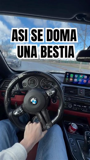 Hay que domar a la bestia😂😂😂 #carro #coche #bmwking #horsepower #carfunny