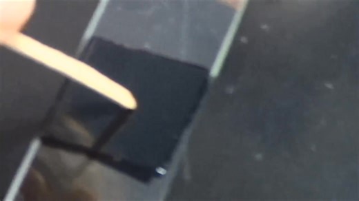 Capsules staining 😍😍 #lablife #microbiology #medicallaboratoryscience | Lab life