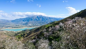 La Viñuela - A Local's Guide to Everything You Need to Know