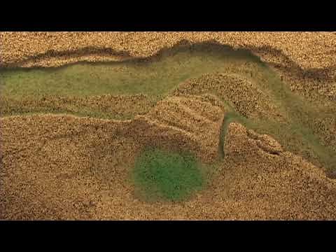 River Geomorphology (19) - Wetland Draining Caused by Incision, Formation of Connecting Channel...