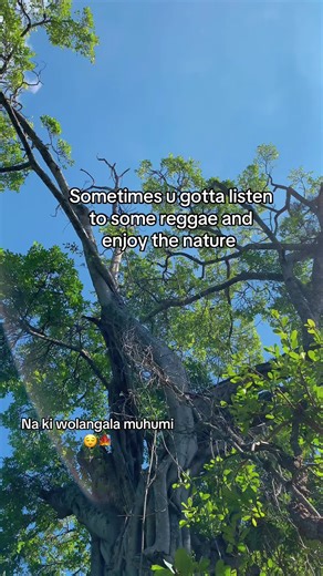 Embrace Nature with Reggae Music