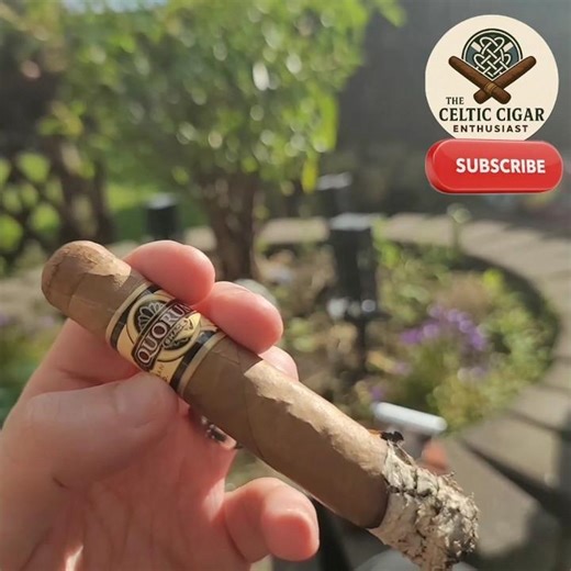 Quorum Shade Grown Robusto