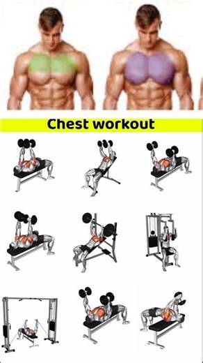 The Best Chest Workouts (for Growth & Definition)
