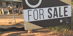 18 dogs seized from Gilbert home under animal cruelty investigation