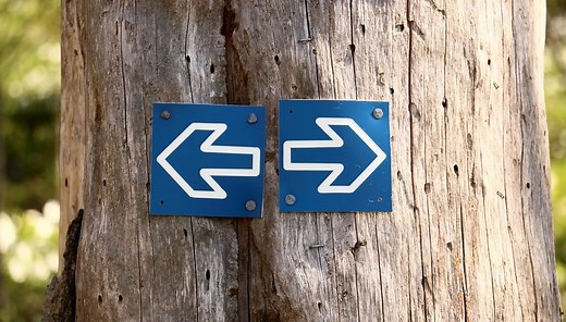 A priori / A posteriori - Français Authentique